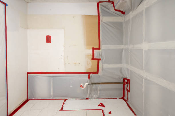 Best Dehumidification Services  in Little Ferry, NJ