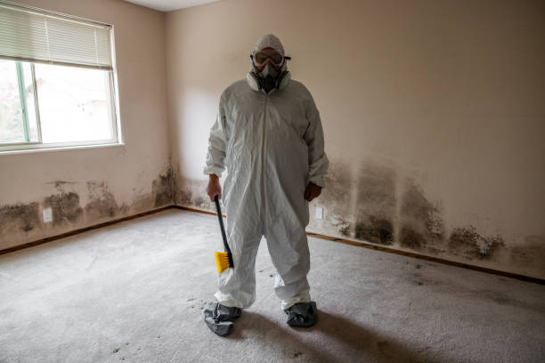 Best Comprehensive Air Testing for Mold Contaminants  in Little Ferry, NJ